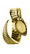 ���� Roberto Cavalli 7253250517